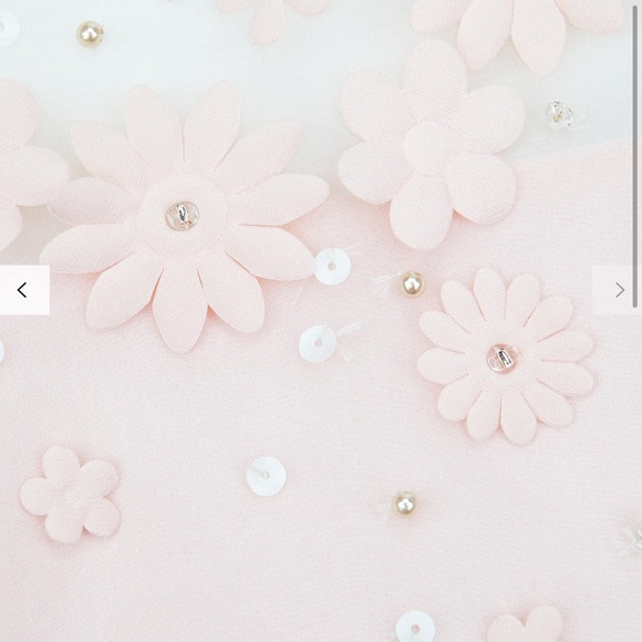 Ted Baker Findon Embellished Silk Pink Dress Sz 8 - Picture 4 of 8